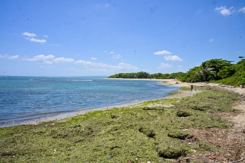 Long Beach Puerto Plata