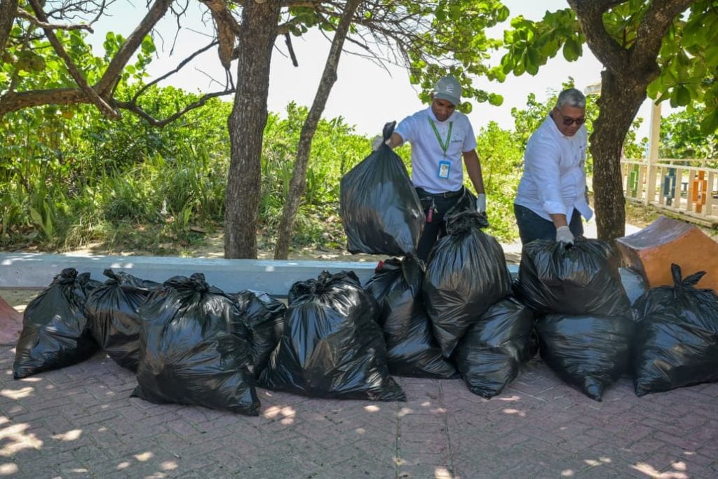 Fundas de basura colectada